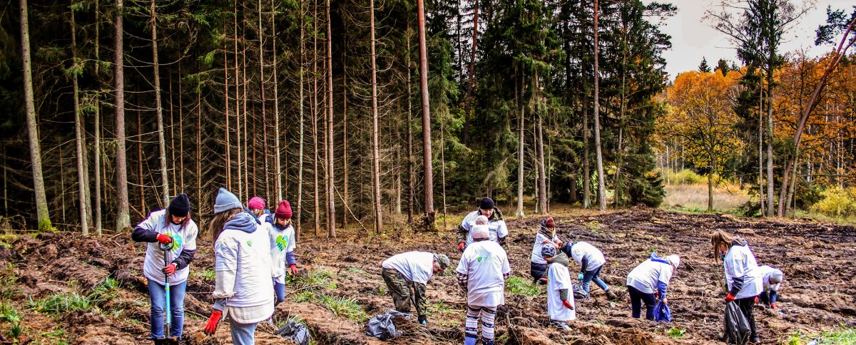 Ekologia, edukacja, integracja: tak Dotlenieni tworzą nowe lasy we współpracy z sektorem biznesu
