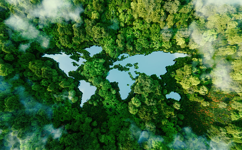 Ekologia na świecie: kluczowe ekosystemy i największe akcje ekologiczne